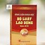 Bình Luận Khoa Học Bộ Luật Lao Động Pdf