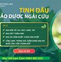 Sản Phẩm Của Công Ty Dạ Thảo Liên